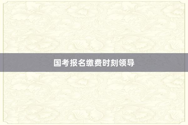 国考报名缴费时刻领导
