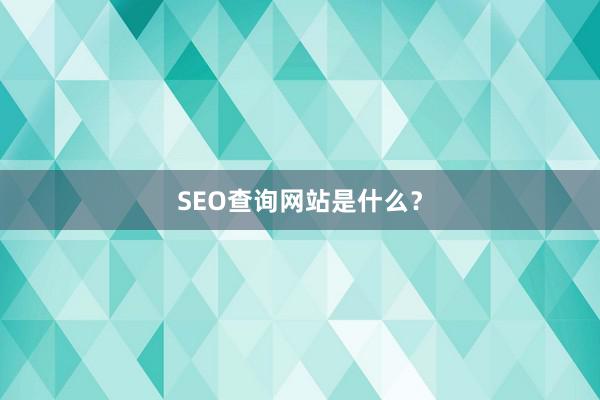 SEO查询网站是什么？