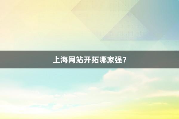 上海网站开拓哪家强？