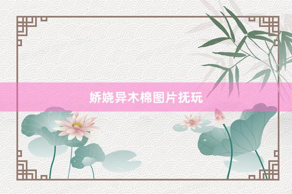 娇娆异木棉图片抚玩